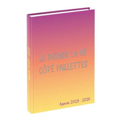 Agenda Humour Pailleté - 1 jour par page - 12 x 17 cm - 2 modèles disponibles - Viquel