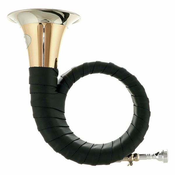Dotzauer Meister Bb Horn 18825 Set