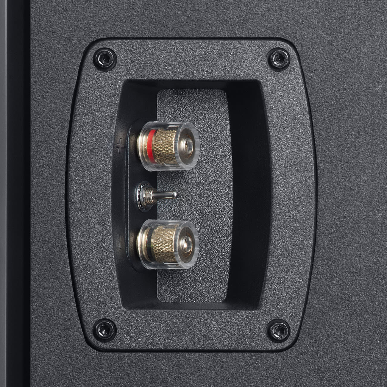 Theater 500 Surround Dipole