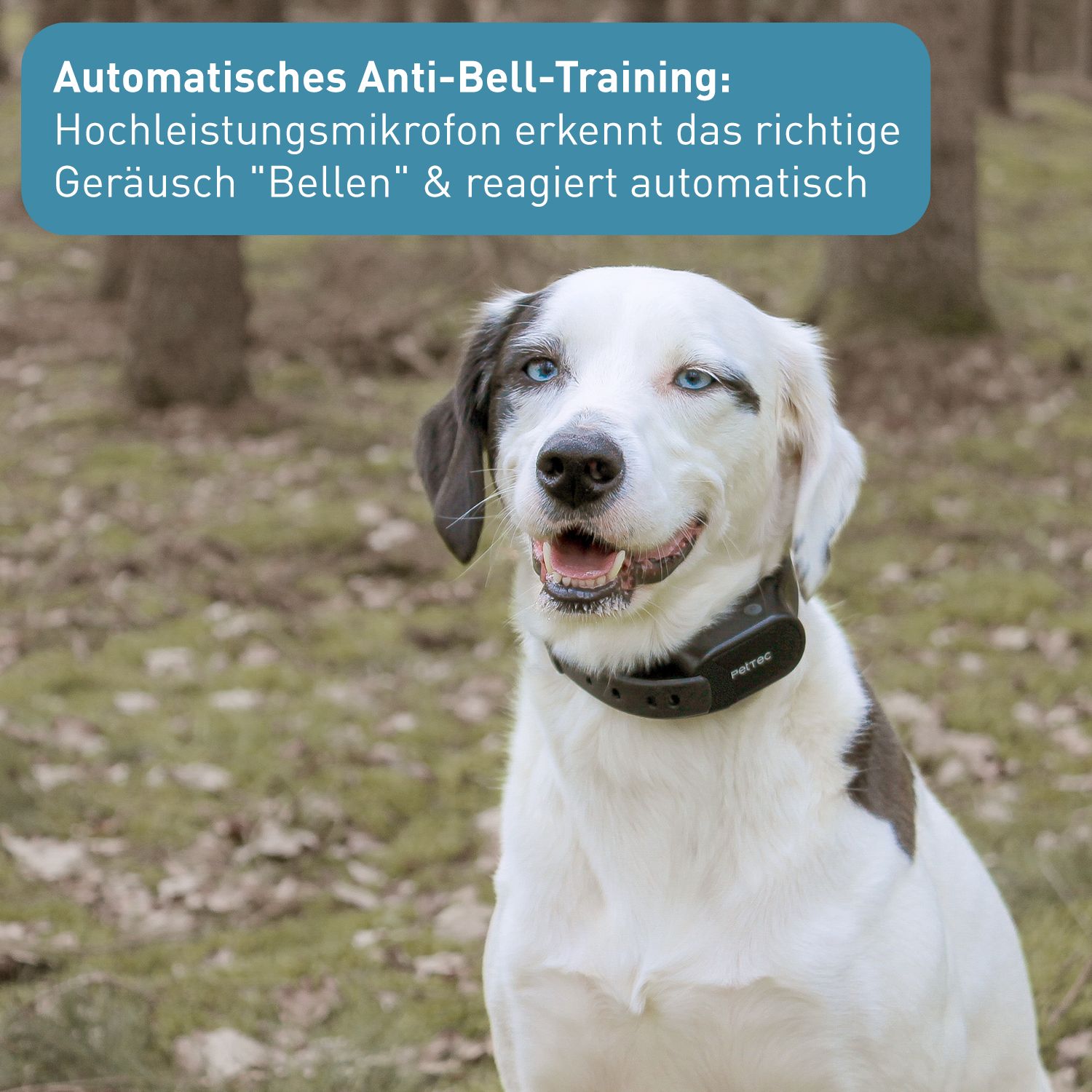 PetTec Antibell Vibra Trainer