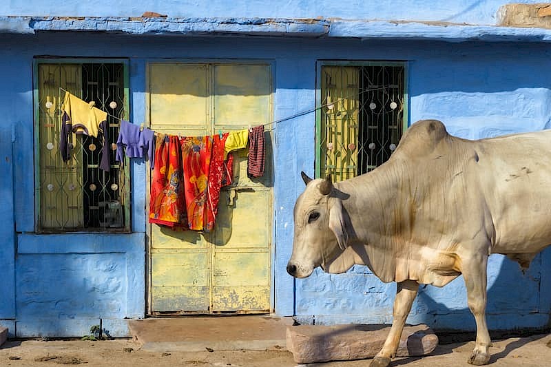 Namasté in Noord-India