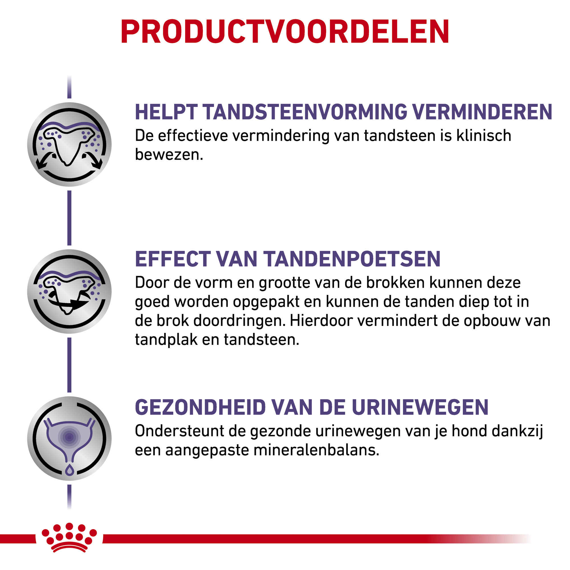 Royal Canin Dental Kleine Hond