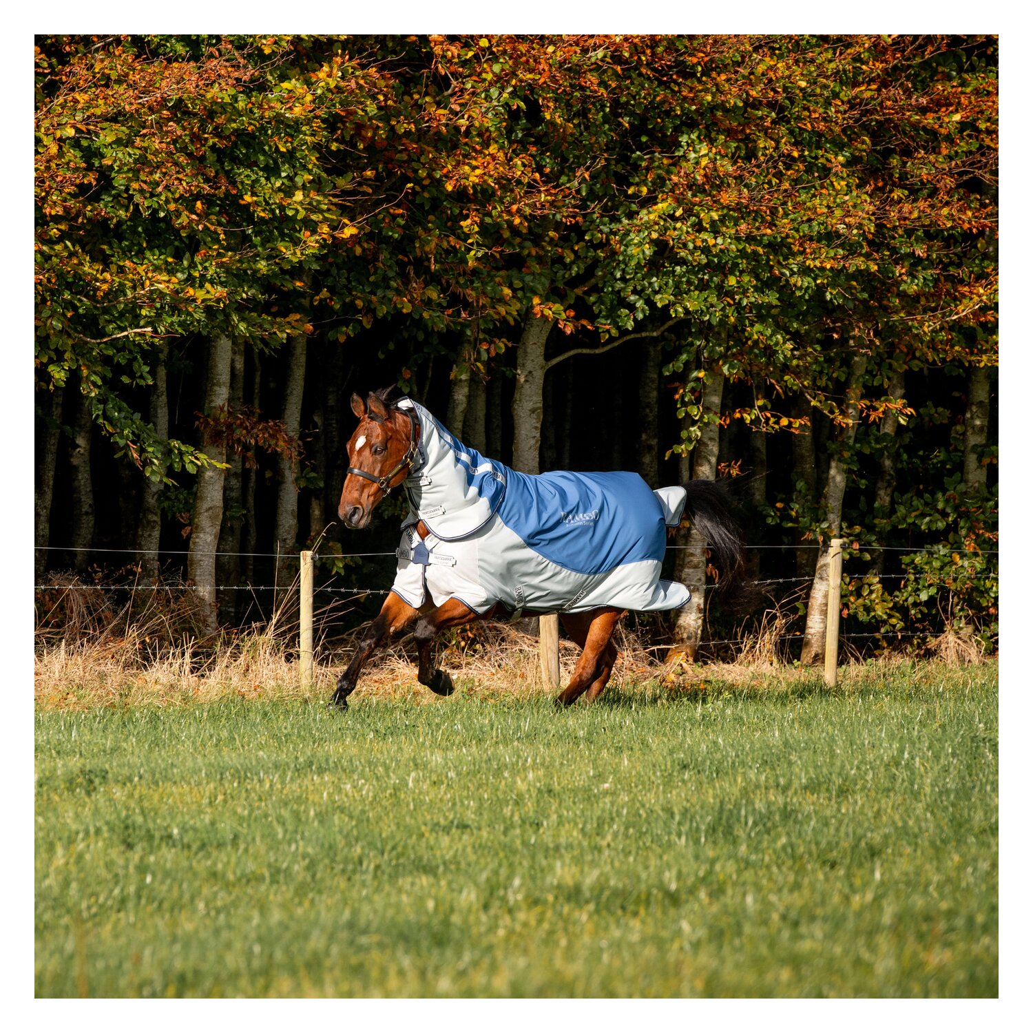 HORSEWARE Outdoor-/Weidedecke RAMBO Autumn Series - navy/grey