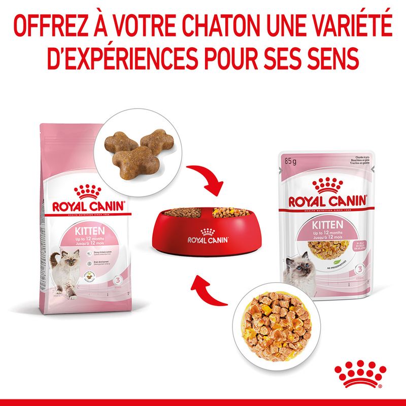 Royal Canin Kitten en gelée pour chaton