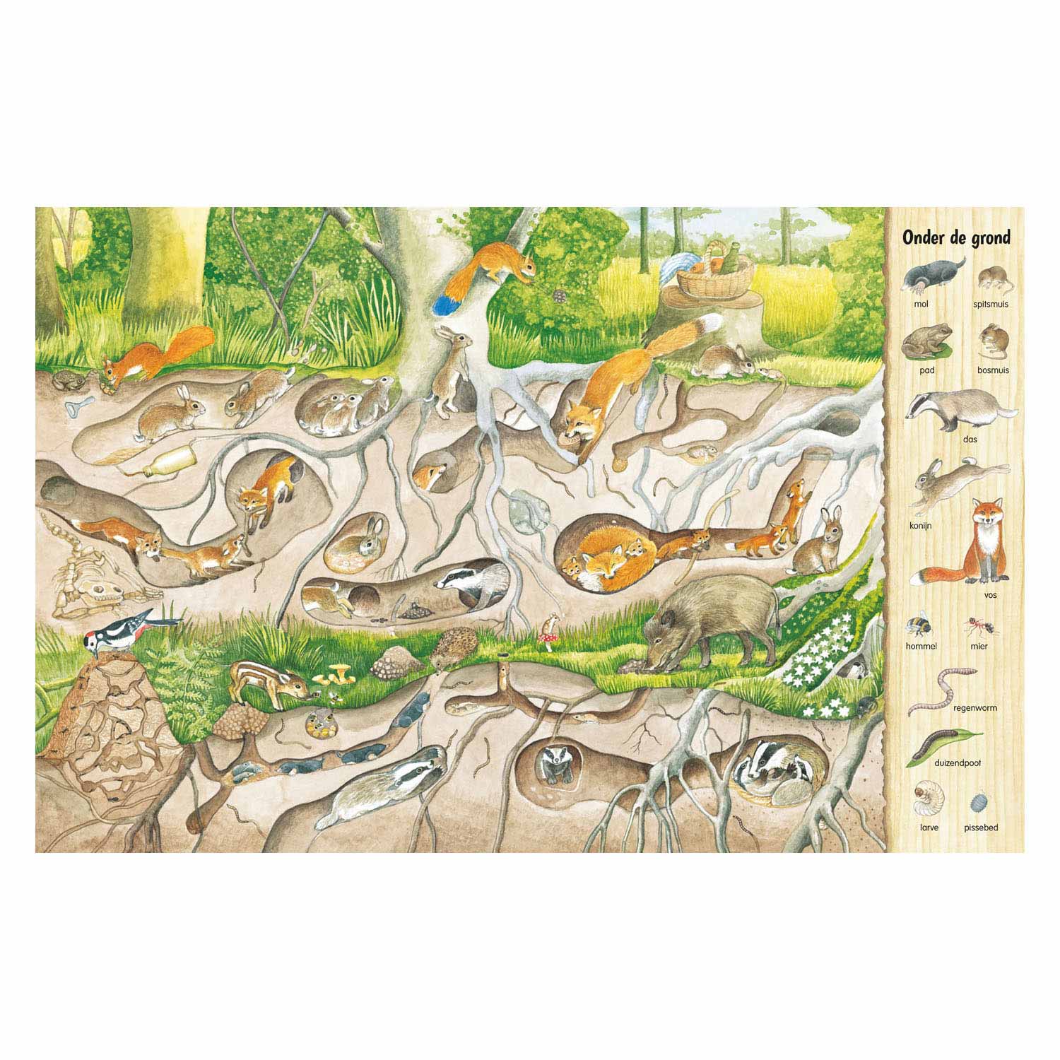 Kijk- en Zoekboek - In het bos