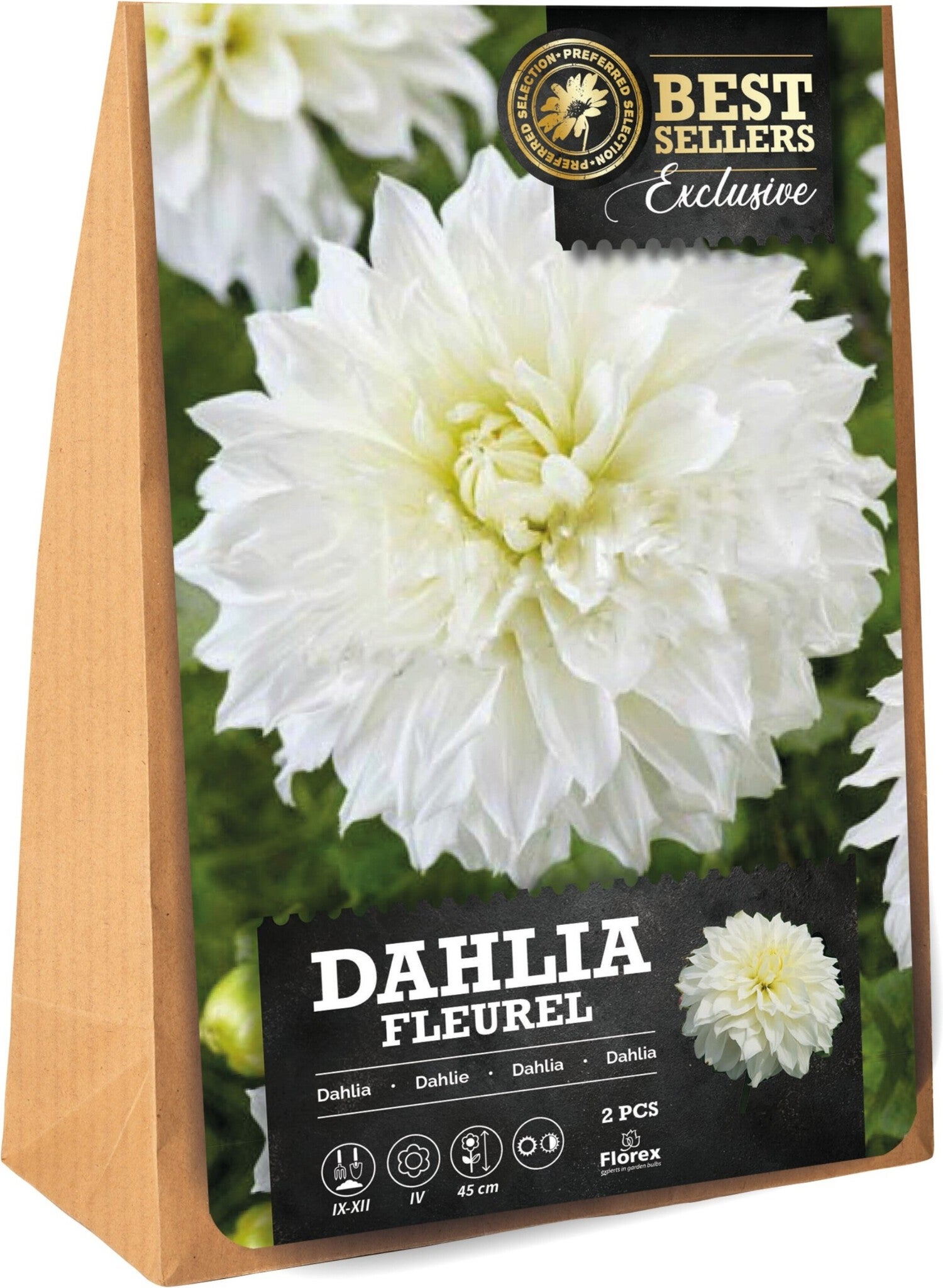 Florex Dahlia knol (Dahlia 'Fleurel') 2 stuks