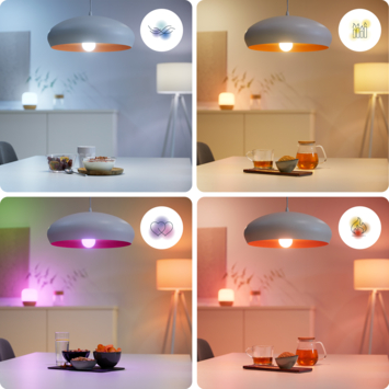 WiZ Connected LED peer E27 13 mat kleurlicht dimbaar
