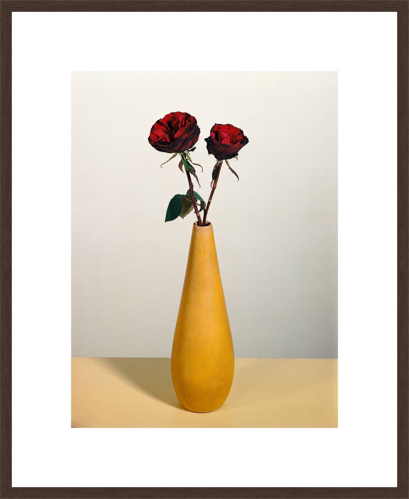 Rosen 2 by Kris Scholz - Limited Edition. Edition of: 100. Signed.