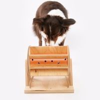 Brinquedo inteligente para cães: roda da fortuna