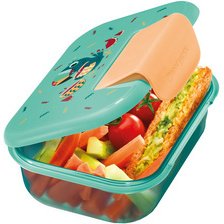 PICNIK Boîte repas RATON LAVEUR, en plastique, 0,9 L