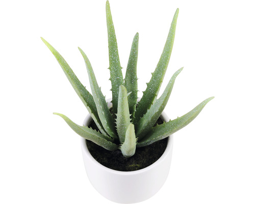 Kunstplant in keramische pot Lafiora Aloë Vera 25 cm