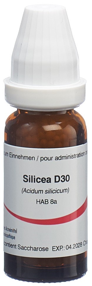 Omida Silicea Glob 30 D 14 g