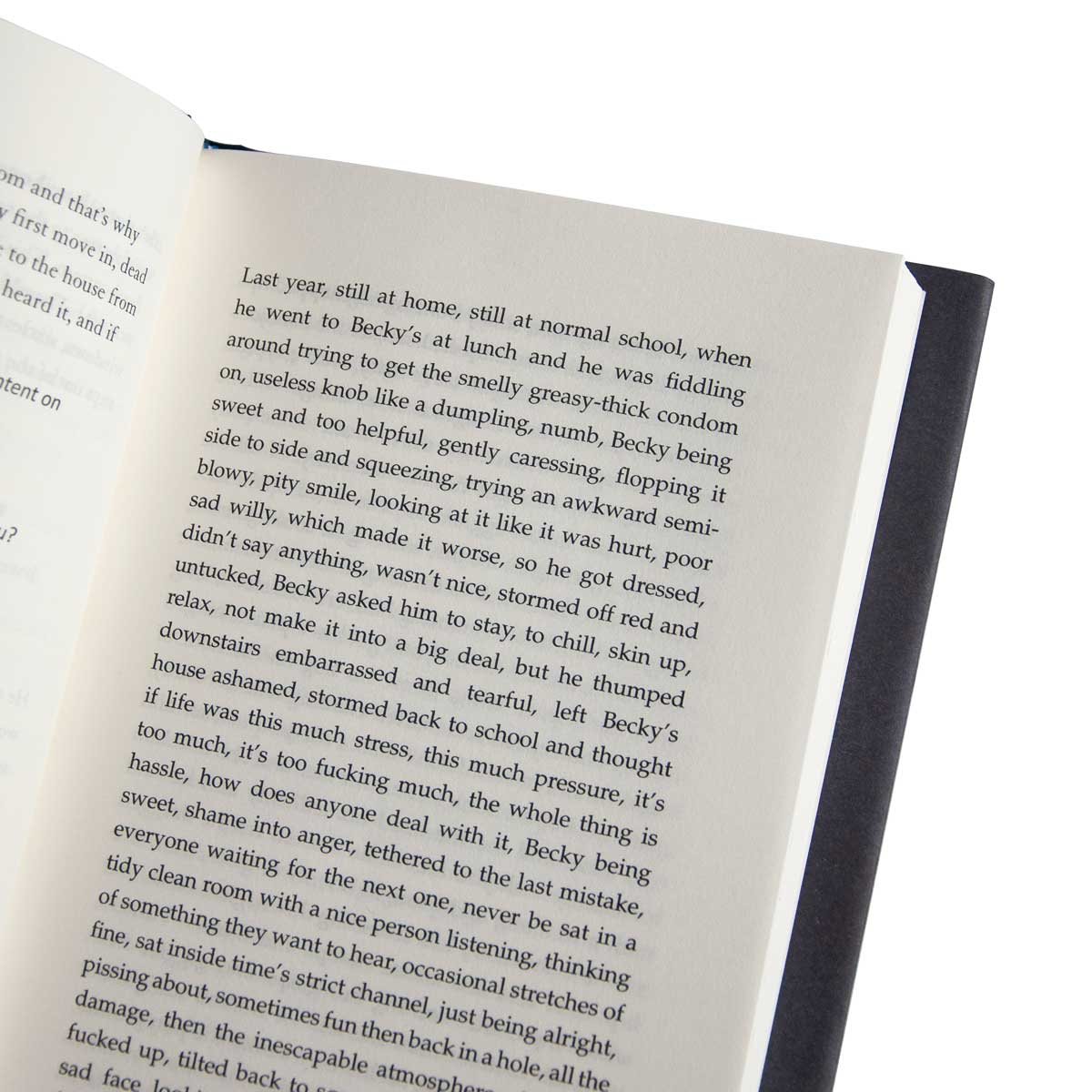 Shy (Hardback)