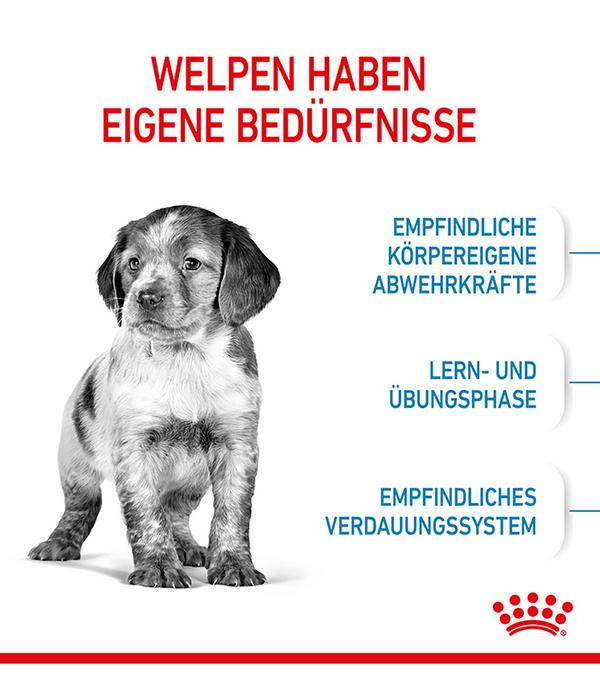 ROYAL CANIN® Trockenfutter für Hunde Medium