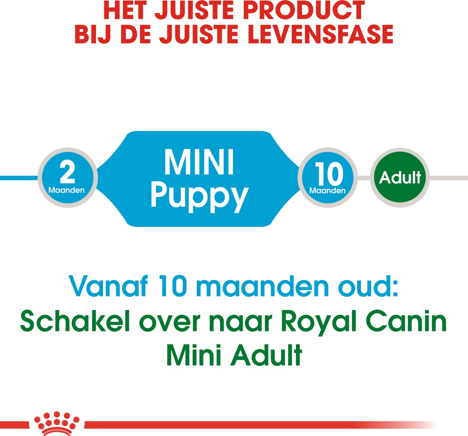 Royal Canin hondenvoer Mini puppy 4 kg