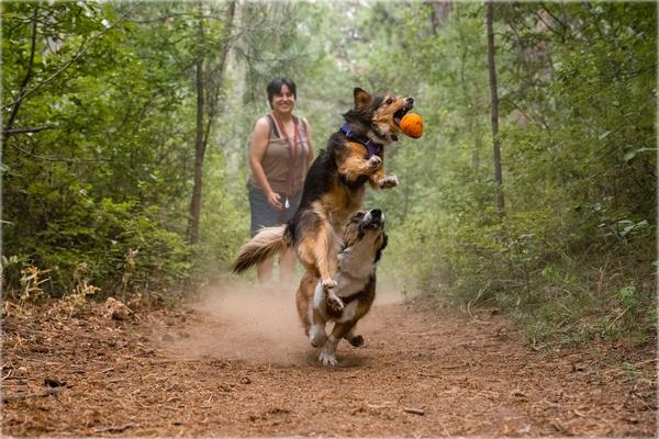 RUFFWEAR® Hundespielzeug TURNUP™, ca.
