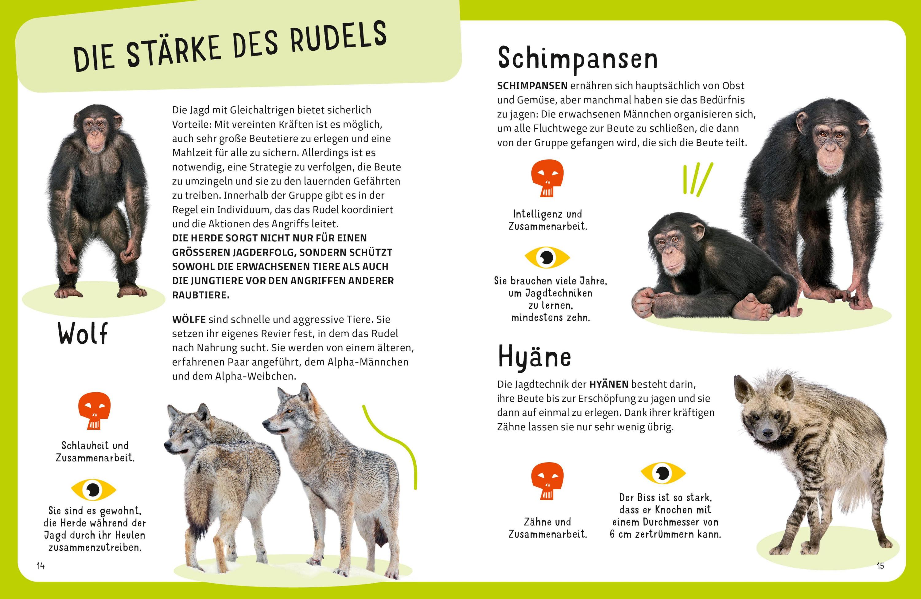 Die tödlichsten Tiere. Ein aufregendes Count-Down der gefährlichsten Tiere (Top Ten)