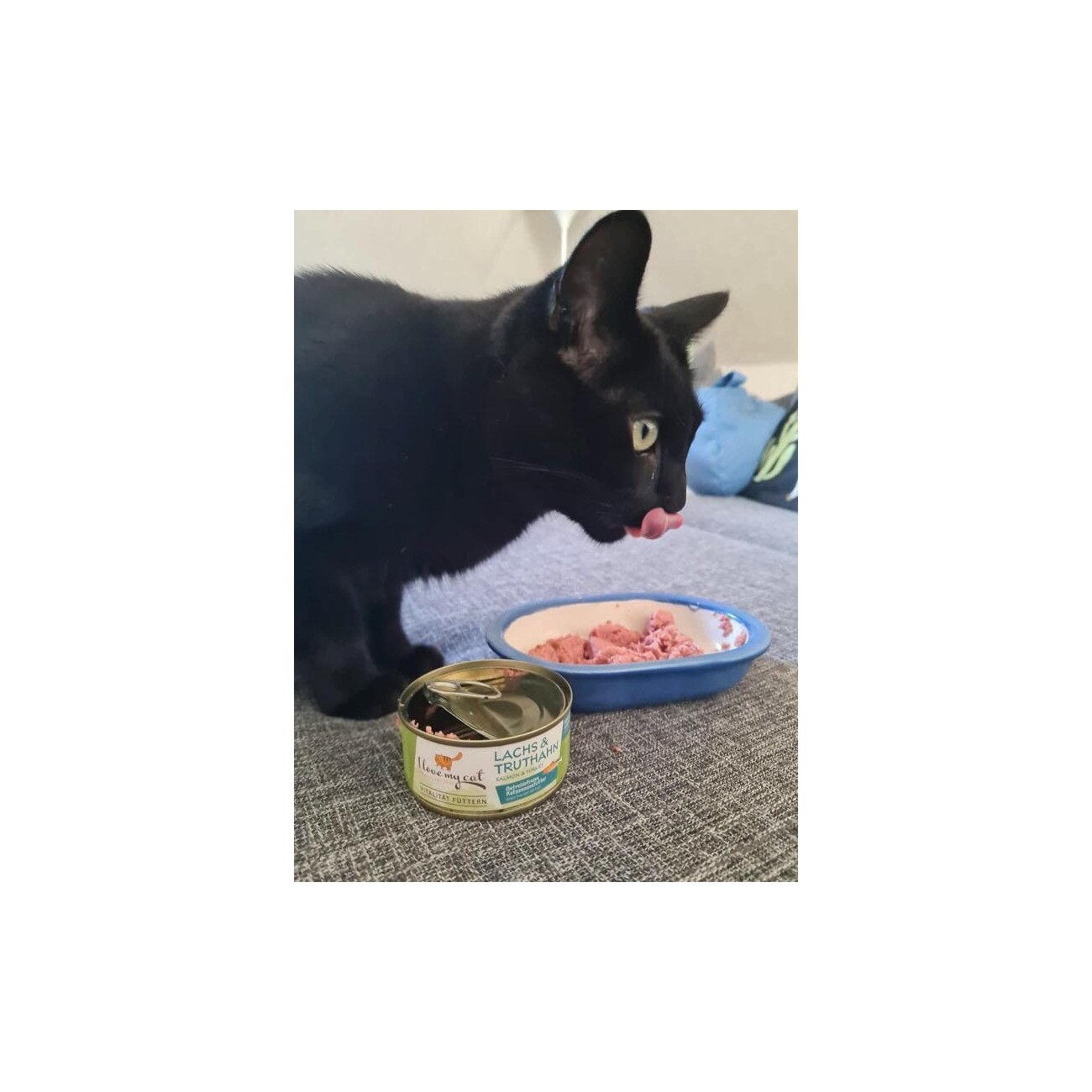 I love my cat Katzenfutter Nass mit Lachs und Truthahn - 6x100g