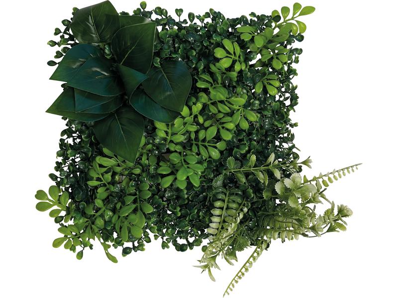 Repto Pflanzenrückwand Deco 2, 25 x 25 cm Künstliche Pflanzenrückwand für Terrarien