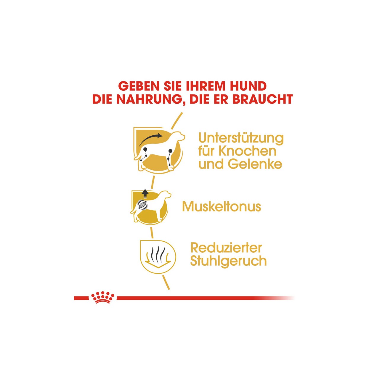 ROYAL CANIN Dachshund Adult 1,5 kg