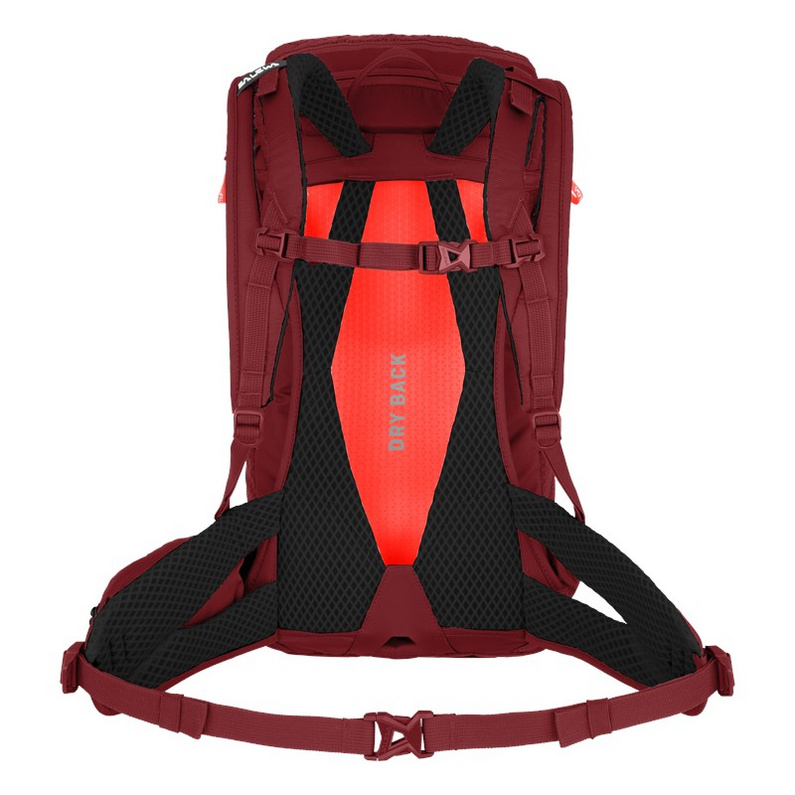 Salewa Alp Trainer 20 Wanderrucksack