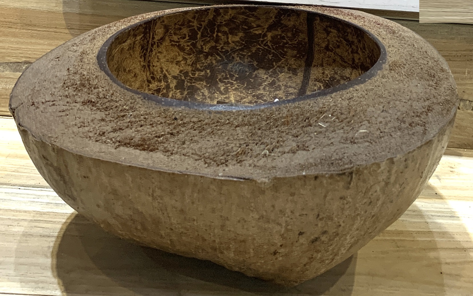 Kokosnuss-Schale dickwandig, Ø 20 cm, H 8 cm von fischer's lagerhaus