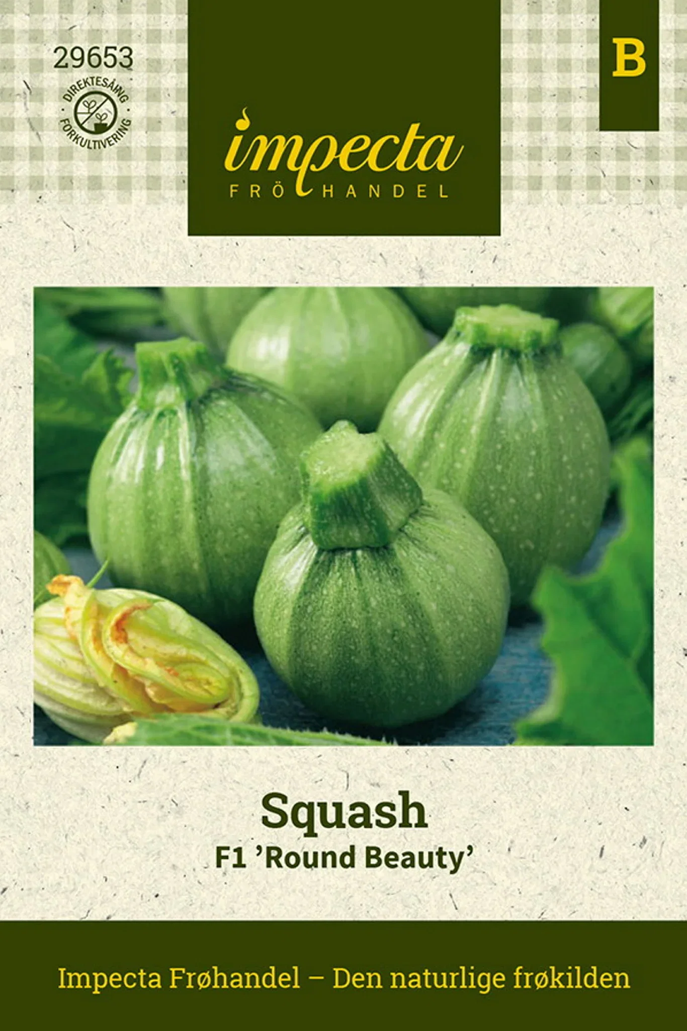 Cucurbita pepo F1 'Round Beauty' Squash F1 'Round Beauty'
