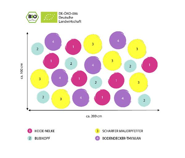 Bio Stauden-Set Bodendecker Patchwork,
