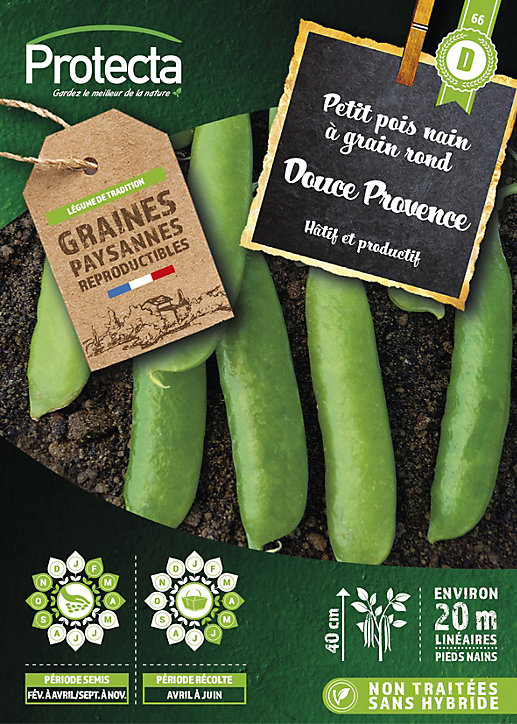 Graine de Pois nain à grain rond douce provence Protecta