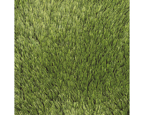 Moran kunstgras met drainage, 40 mm dik, groen, 400 cm breed (per meter verkocht)