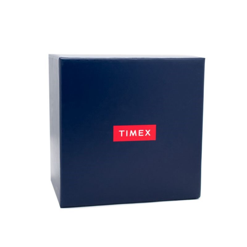 Montre Homme Timex 