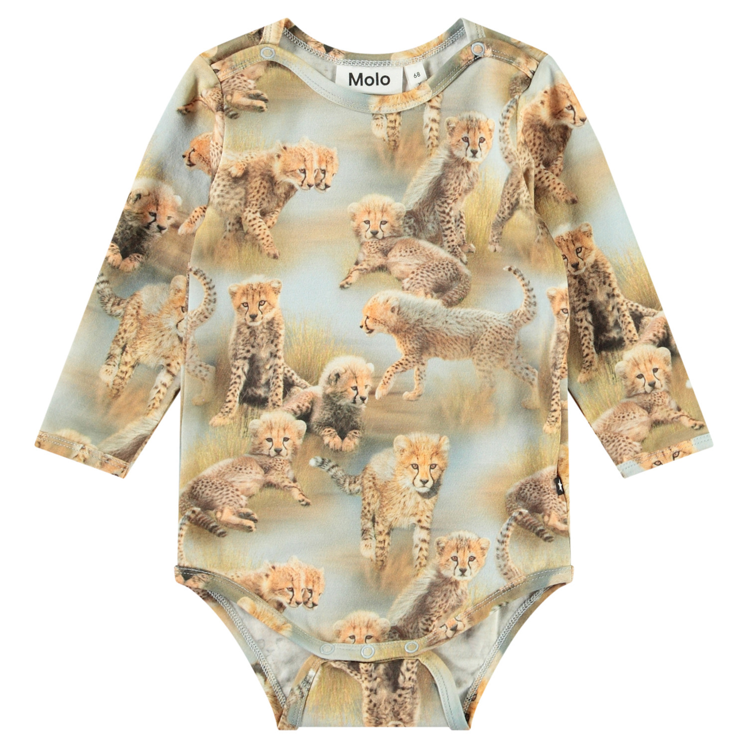 Foss - Cheetah Cubs