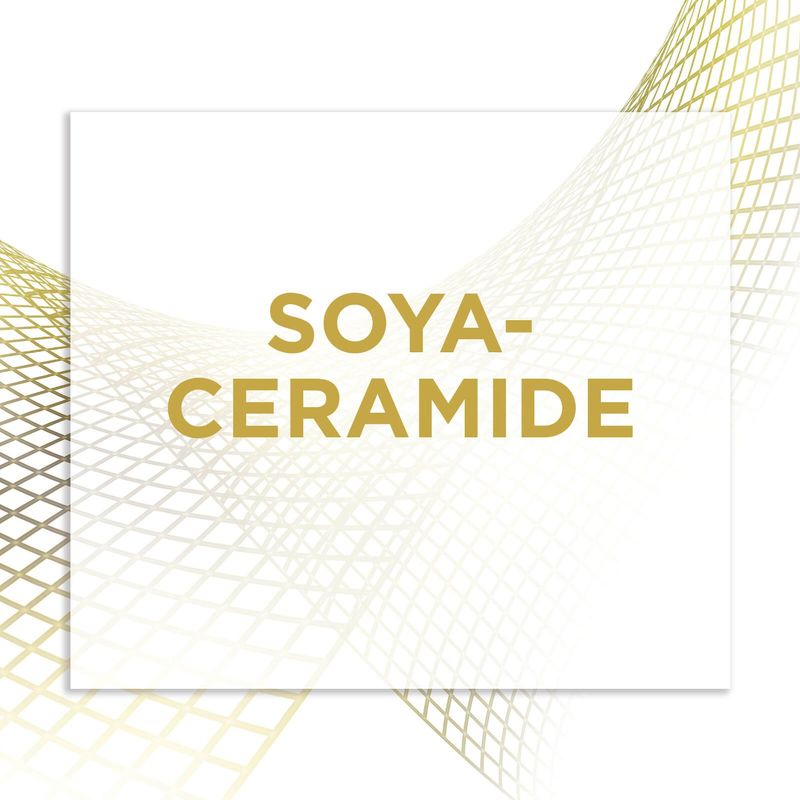 L'Oréal - Age Perfect Oogcrème - 15Ml - Hydrateert en Verstevigt