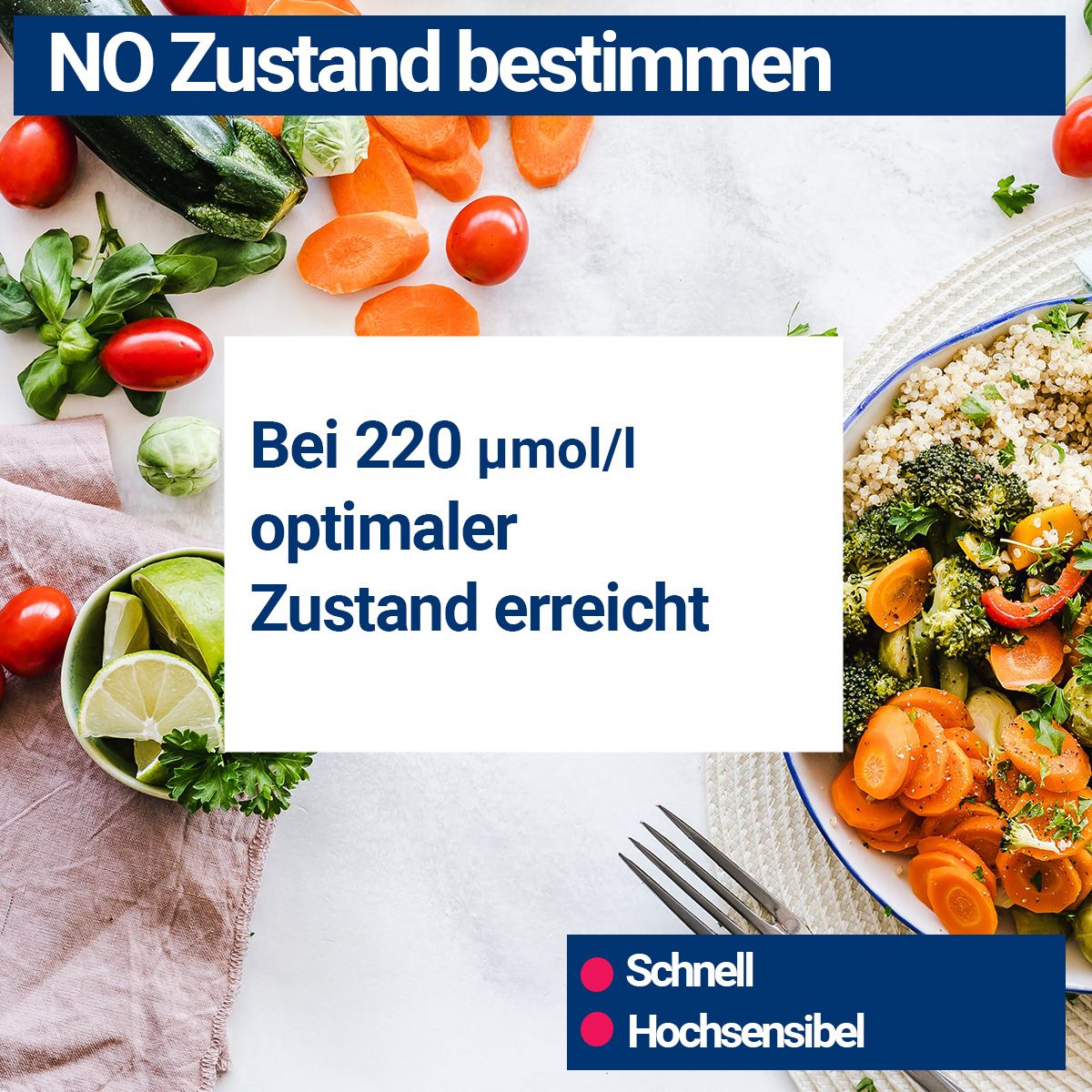 BMUT Stickstoffmonoxid Teststreifen NO