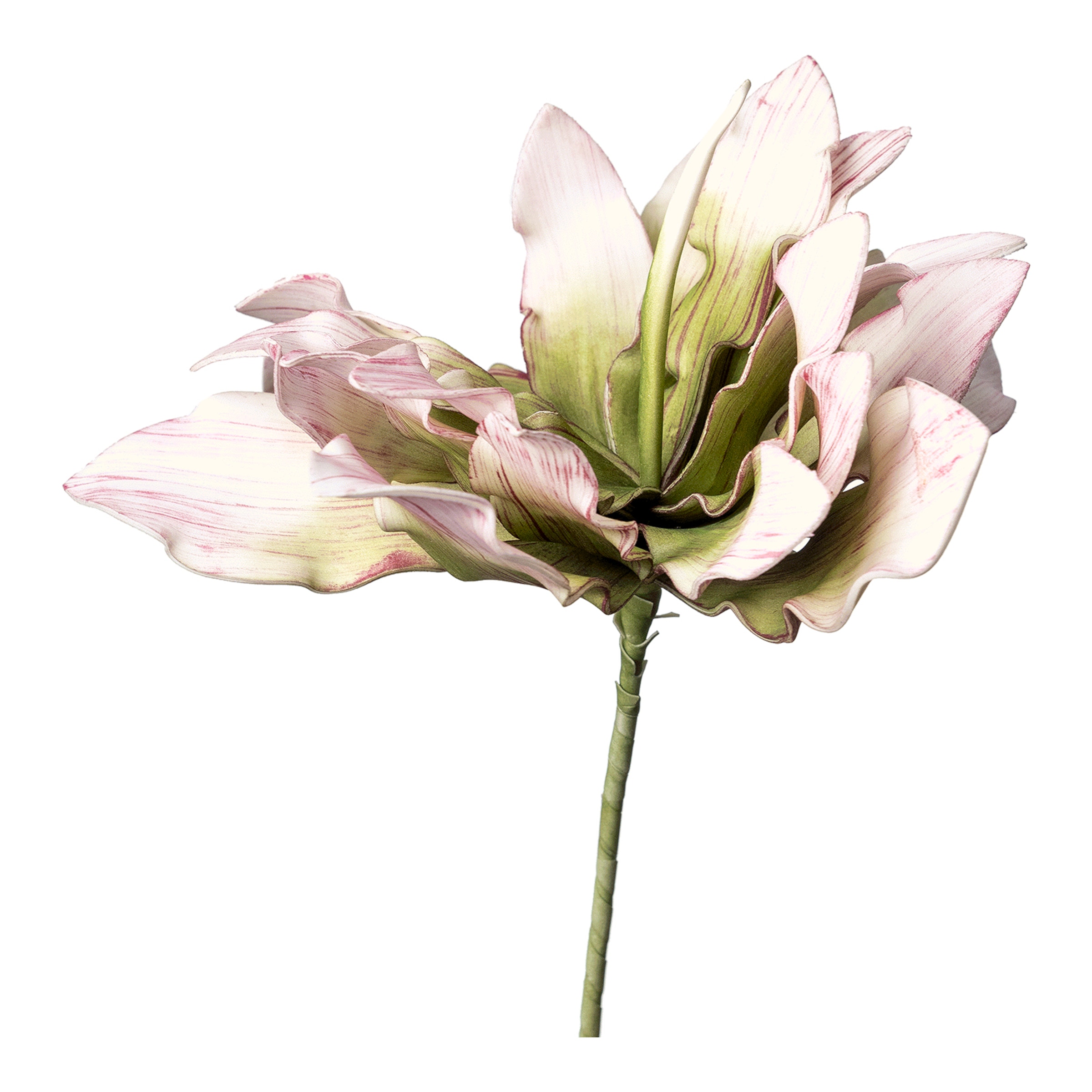 rosa, L 38 cm
