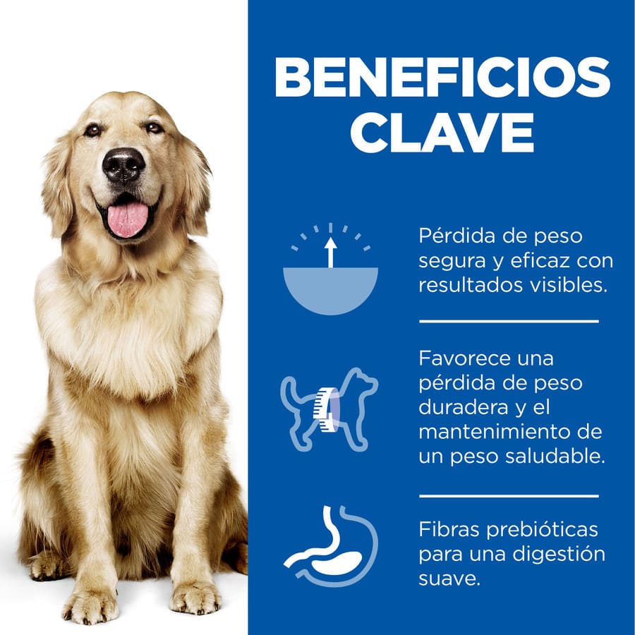 Ração para cães Hill's Science Plan Perfect Weight Adult Large com sabor de frango