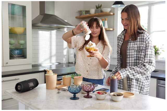 JBL Charge 5 WIFI transportabel højtaler (sort)