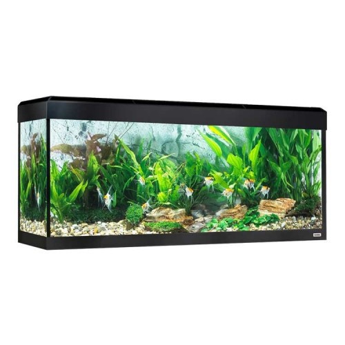 Aquário Fluval Roma Preto com LED e Bluetooth para Peixes