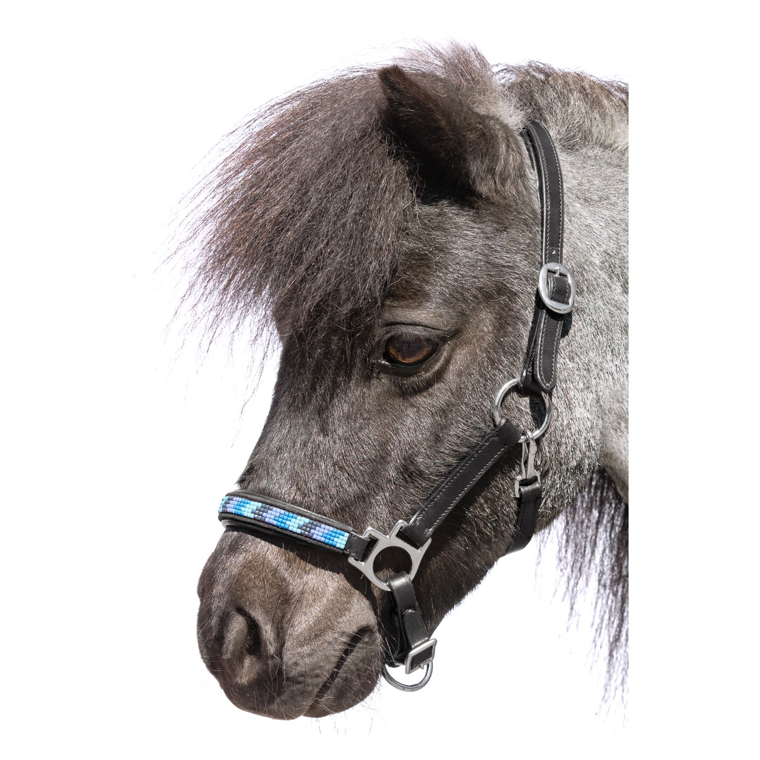 Loesdau Lederstallhalfter  - schwarz/blau