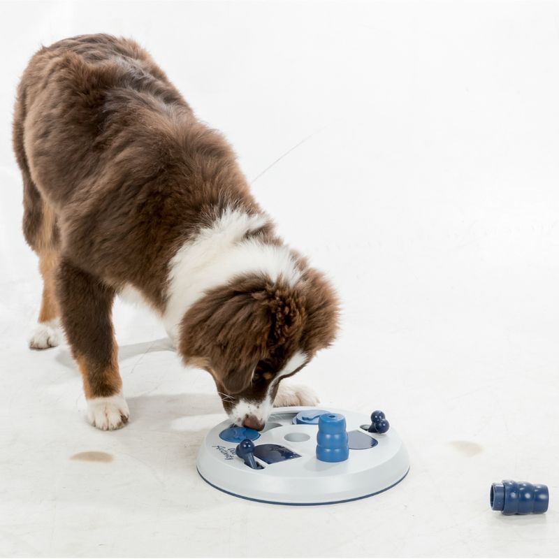 Jouet Trixie Dog Activity Flip Board