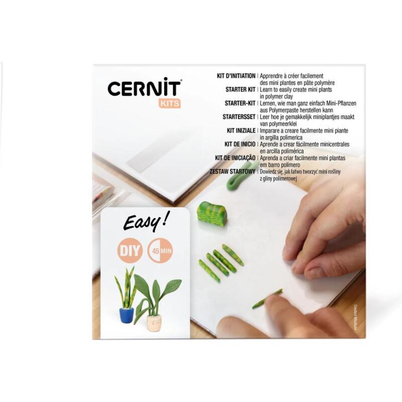 Kit starter, mini plantes
