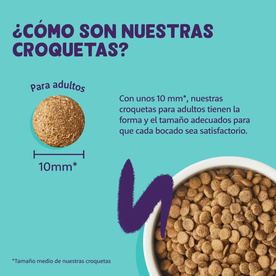 Ração para gatos adultos Edgard & Cooper com sabor de frango
