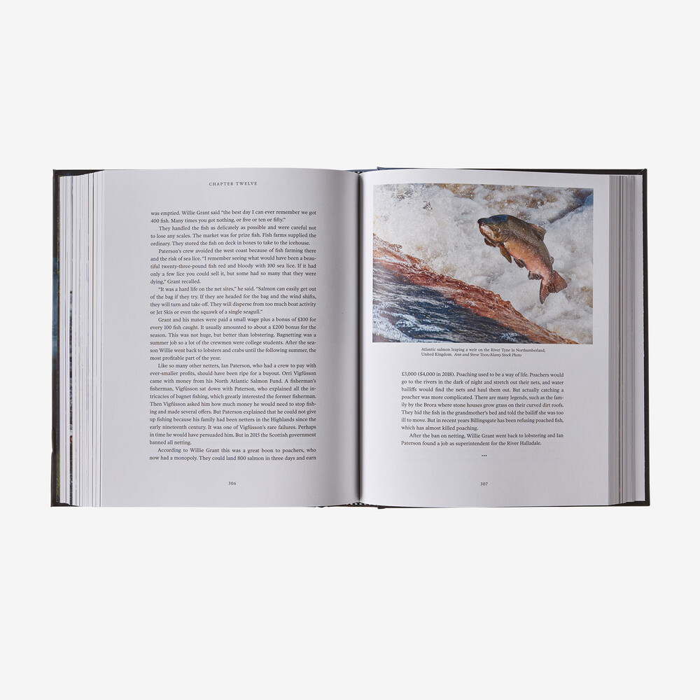 Lachs: Ein Fisch, die Erde und die Geschichte ihres gemeinsamen Schicksals (gebundenes Buch, erschienen bei Patagonia)