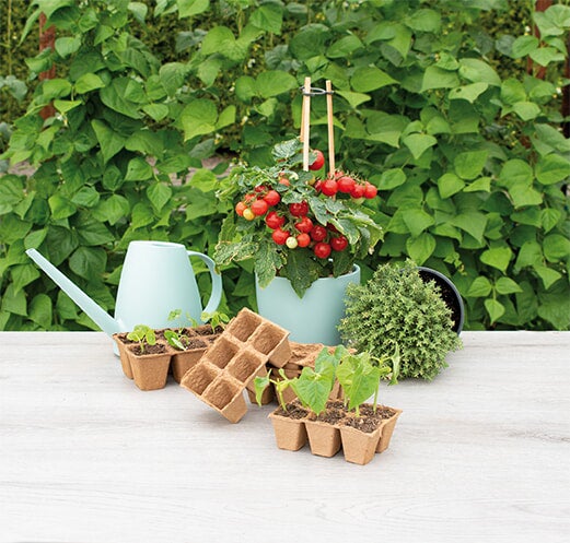 Sogo kweekpot 4 x 4 cm 6 stuks
