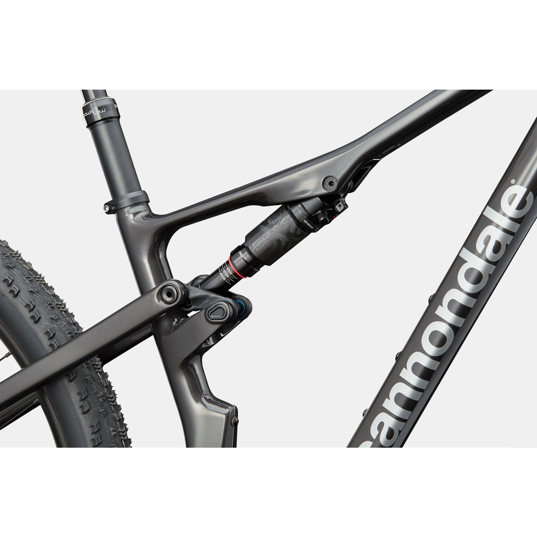 Cannondale Scalpel Carbon 4 2025