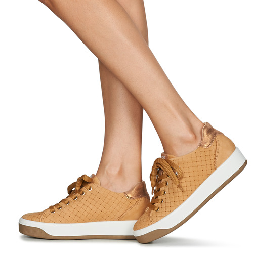 IgI&CO - 1659033 - Camel