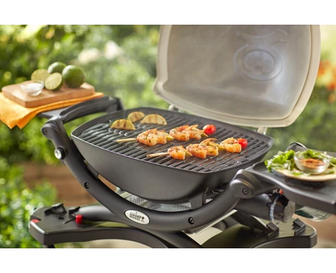 Weber Grillrist - Q1000/100-serie