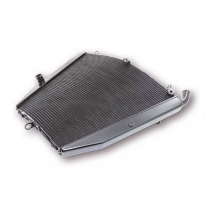 Radiateur Brazoline A EAU ADAPTABLE
