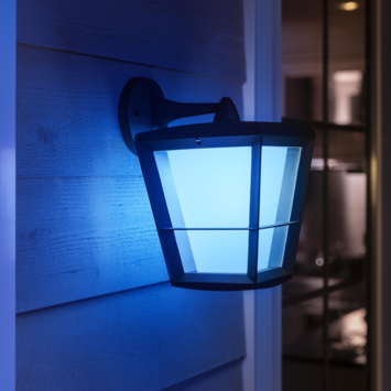 Philips Hue outdoor buitenlamp Econic zwart down