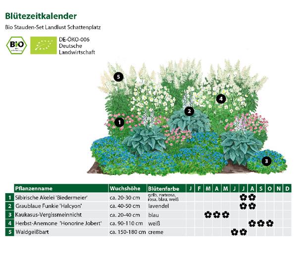 Bio Stauden-Set Schattenplatz, Landlust